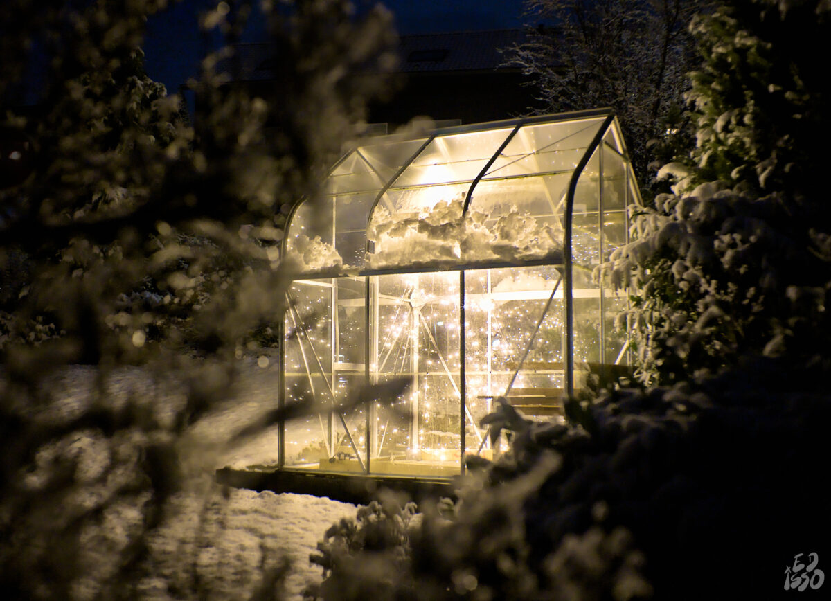 merry christmas from the glasshouse