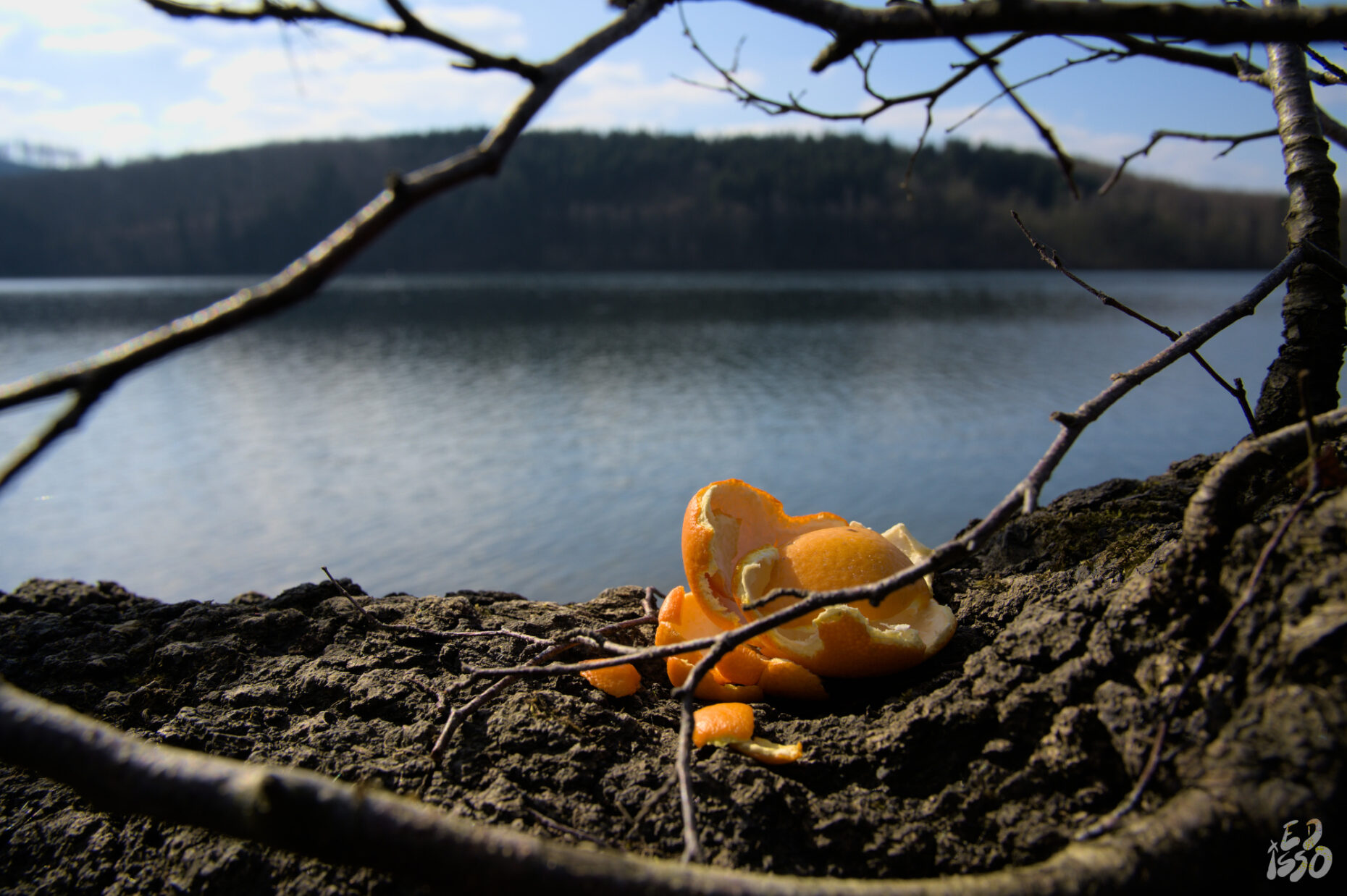 orange is the new spring